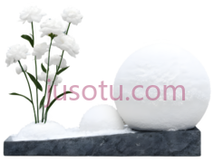 白色花朵,现代,白色PNG