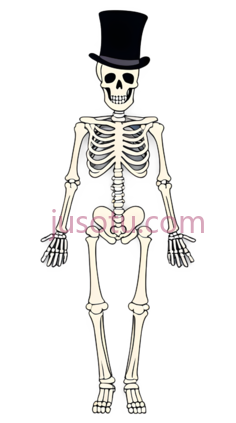 人骨,高顶礼帽PNG