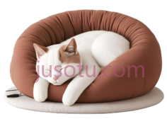 猫, PNG