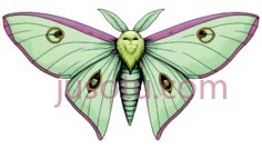 月亮蛾PNG