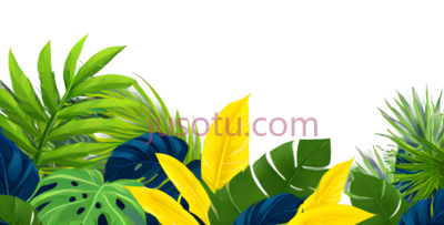 叶子,热带,黄色, PNG
