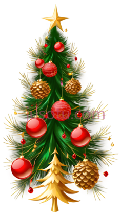 圣诞树,插画,绿色,红色,金色PNG