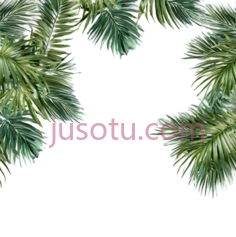 树叶,自然,绿色PNG