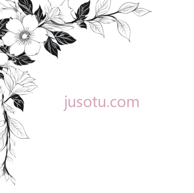 花边, PNG