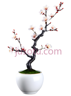 梅花,盆栽,白色花朵,深色树枝PNG