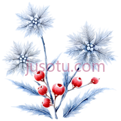 花卉,插画,蓝色,红色PNG