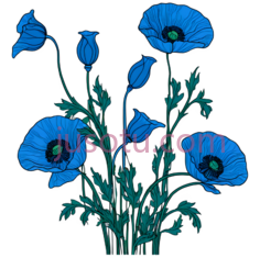 蓝色花朵,插画,蓝色PNG