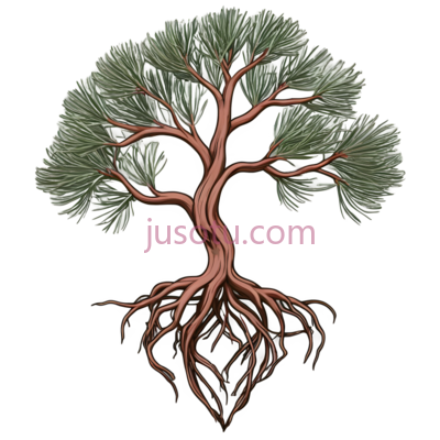 树,插画,绿色,棕色, PNG