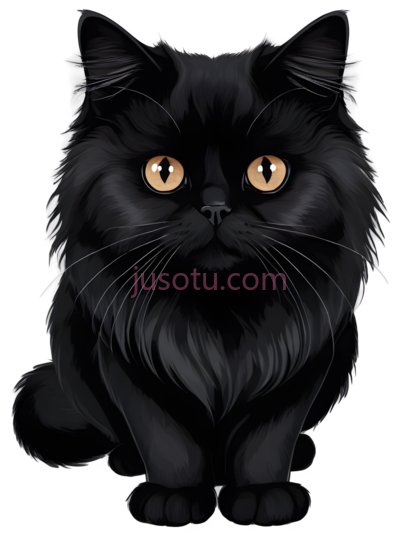 长毛猫, PNG