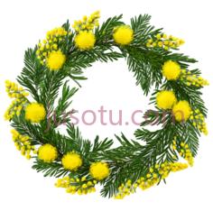 花环,自然,绿色,黄色PNG