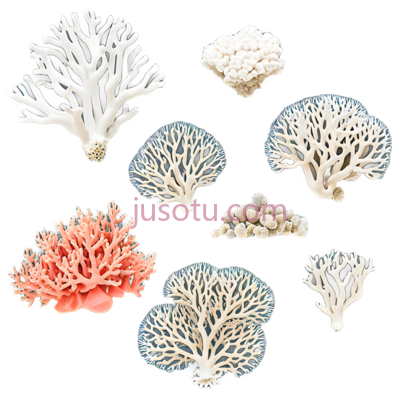 珊瑚, PNG