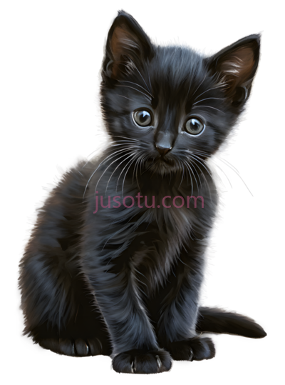 小猫,黑色, PNG