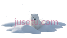 北极熊,卡通,白色PNG