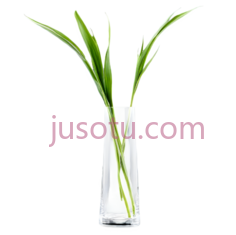 玻璃花瓶PNG