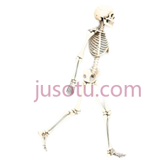 骨骼,卡通,白色PNG