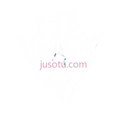 蜘蛛网,白色, PNG
