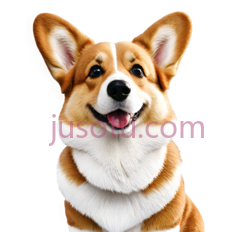 柯基犬PNG