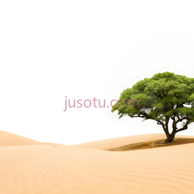 树,自然景观,绿色, PNG