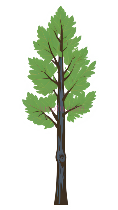 树叶,树木, PNG