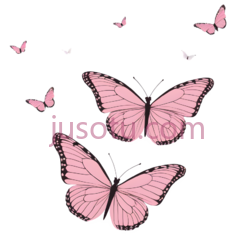 蝴蝶,粉色PNG