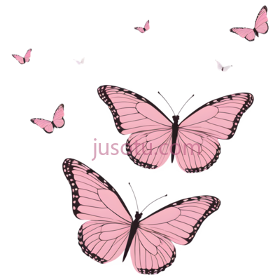 蝴蝶,粉色, PNG