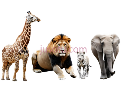 长颈鹿,狮子,老虎,大象,卡通,灰色, PNG