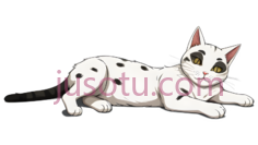 猫,卡通,白色带黑色斑点, PNG