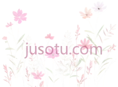 野花,粉色PNG