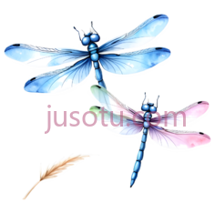 蜻蜓,羽毛,卡通,蓝色,粉色PNG