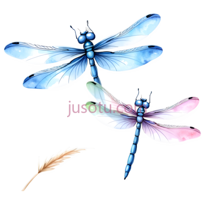 蜻蜓,羽毛,卡通,蓝色,粉色, PNG