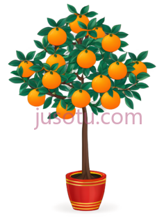 橘子树,卡通,橙色PNG