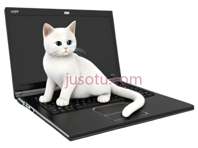 猫,电脑, PNG