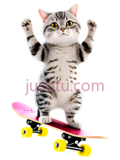 卡通,猫,滑板PNG