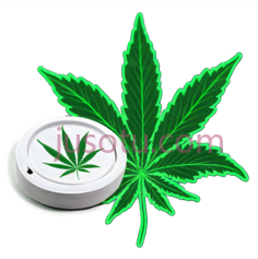 大麻叶,药丸,卡通,绿色PNG