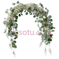 花环,自然风,绿色,白色PNG