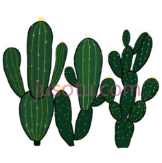 仙人掌,卡通,绿色PNG