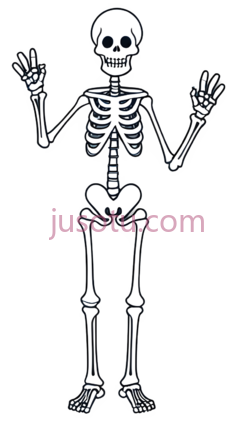 可爱,卡通,骷髅PNG