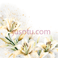 百合花,水彩画,白色, PNG