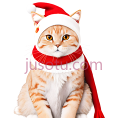 猫,戴圣诞帽,围巾,橘色带白色PNG