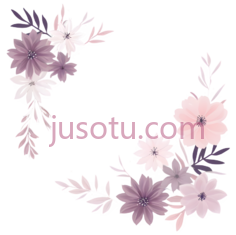 花朵,插画,紫色,粉色PNG