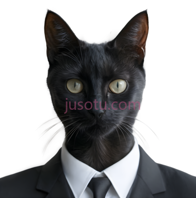 猫,正式,黑色, PNG