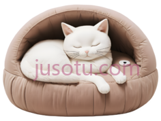 猫咪,宠物床PNG