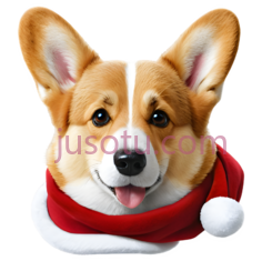 柯基犬,圣诞PNG