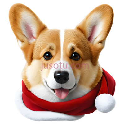 柯基犬,圣诞, PNG