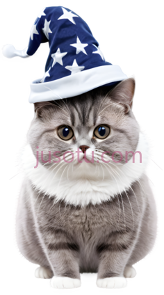 猫,戴圣诞帽,灰色带白色PNG