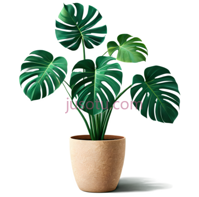 绿萝,花盆, PNG