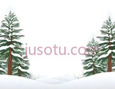 雪松,插画,绿色,白色PNG