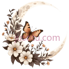 月亮,蝴蝶,花,插画,白色,棕色,黑色PNG