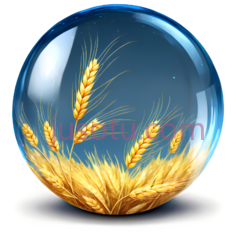 麦穗,插画,黄色PNG