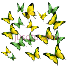 蝴蝶,卡通,黄色,绿色PNG